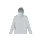 Silver Gray
