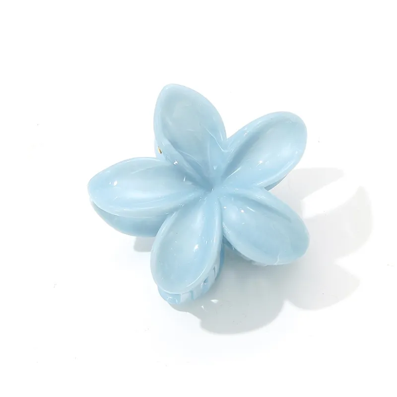 Like A Dream Acrylic Hair Clips Women's-6