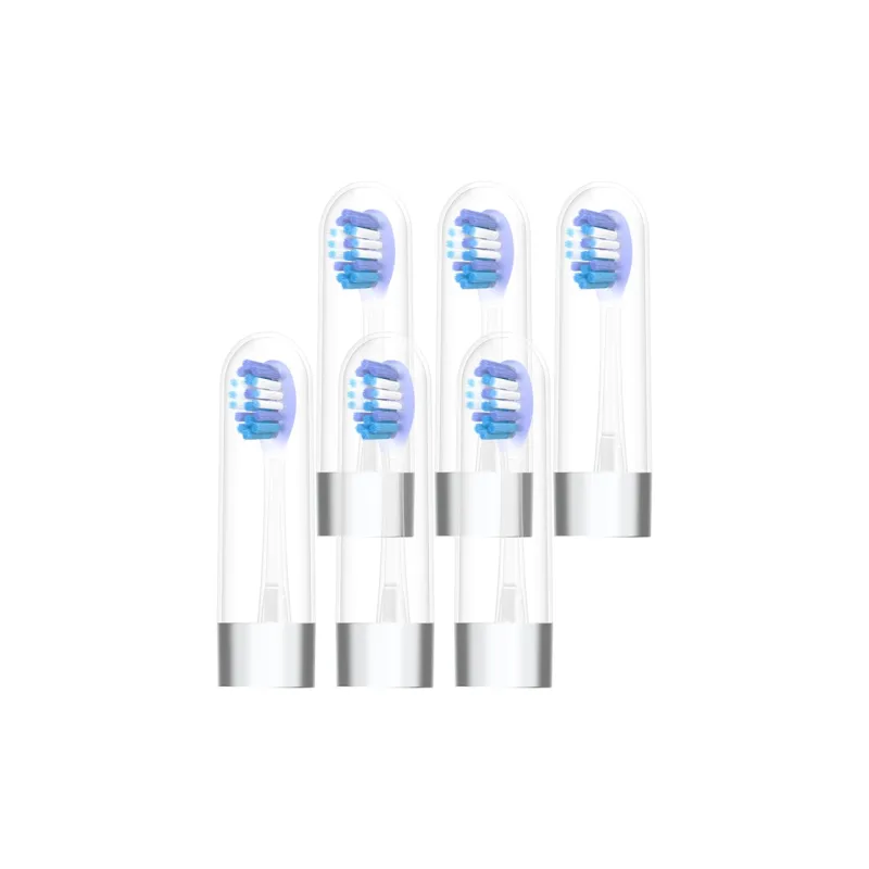 Scheng Toothbrush Heads-8