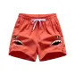 Watermelon Red