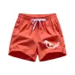 Watermelon Red
