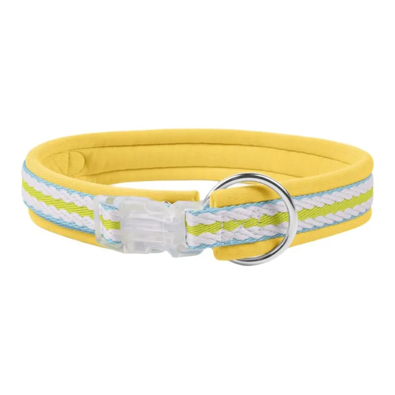 REnextop Dog / Cat Collars-3