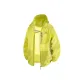 Evening Primrose Yellow