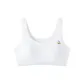 Ivory White
