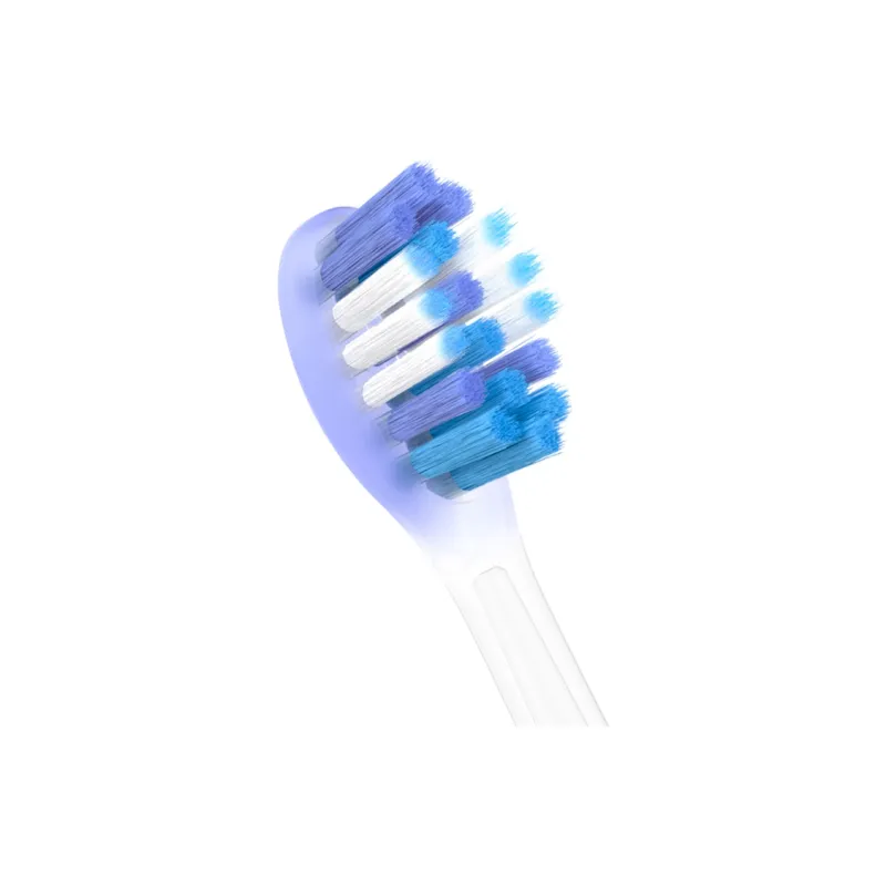Scheng Toothbrush Heads-7