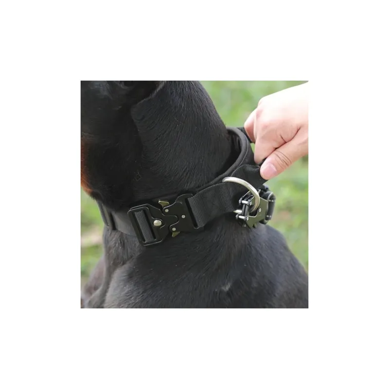REnextop Dog / Cat Collars-1