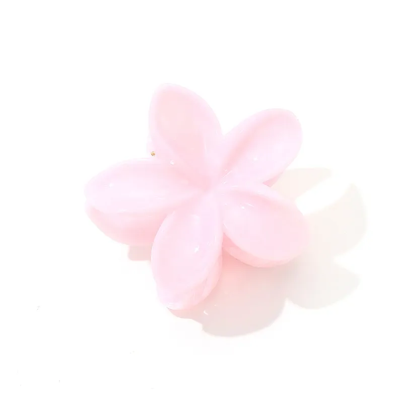 Like A Dream Acrylic Hair Clips Women's-0