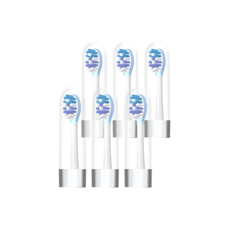Scheng Toothbrush Heads-5