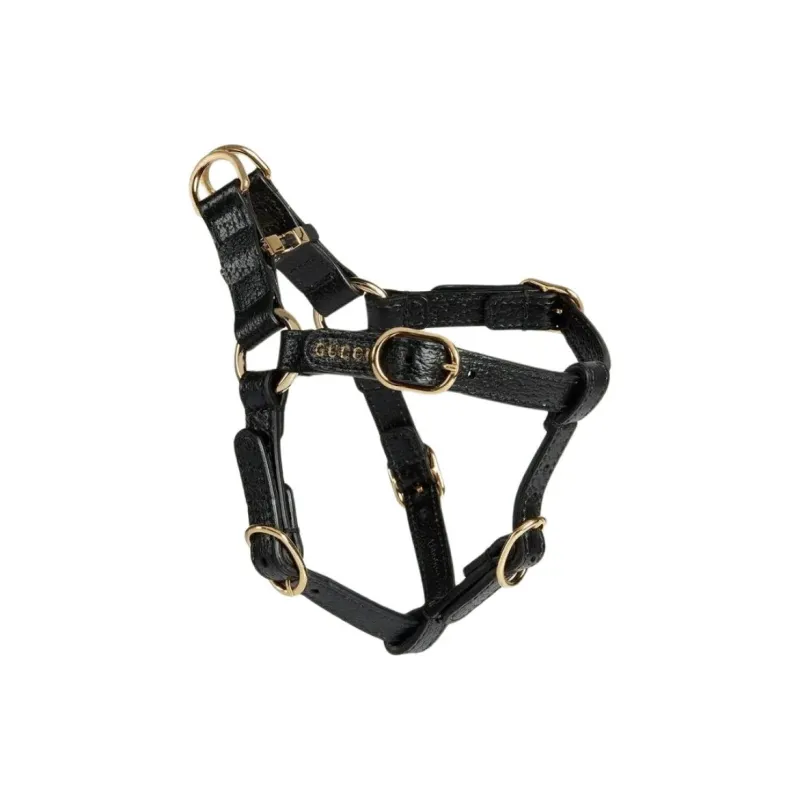 GUCCI Leashes-1