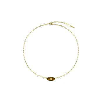 AWE Tiger's Eye Stone, Titanium Steel Collarbone Chain Premium Luxury Niche Accessories Necklace Women's