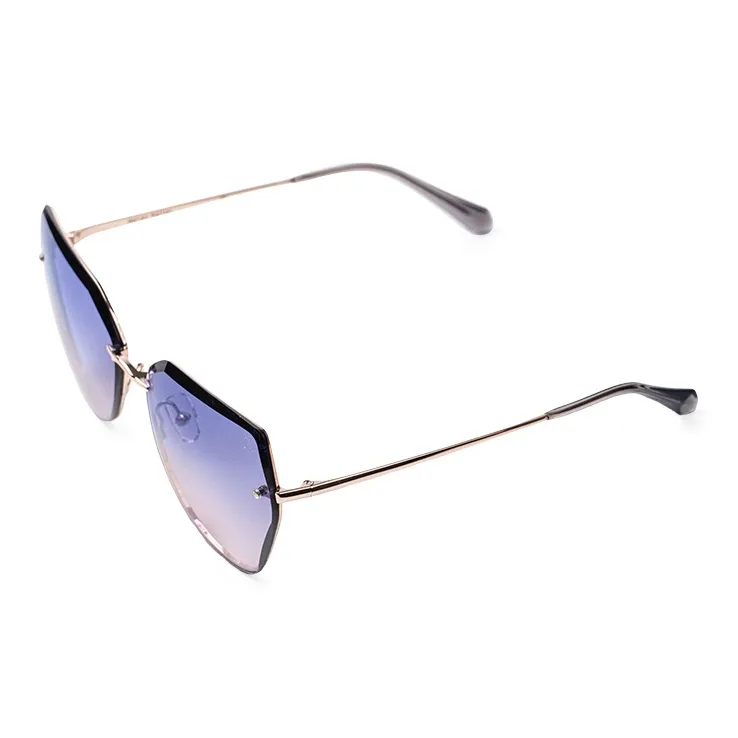 HELEN KELLER Irregular Shape Sunglasses Unisex-2