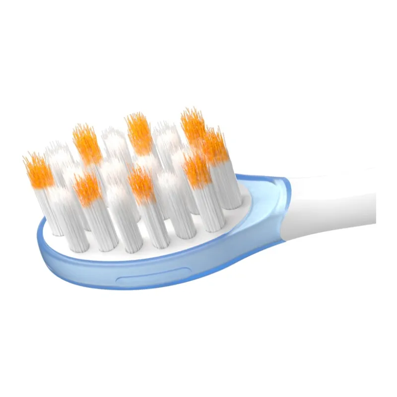 Scheng Toothbrush Heads-4