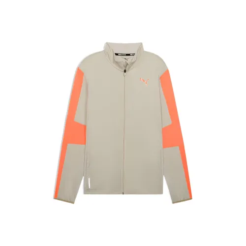 PUMA Train FavoriteDRYCELL Jacket Men's Khaki
