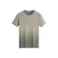 211 Gray Green