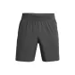 Rhinoceros Gray