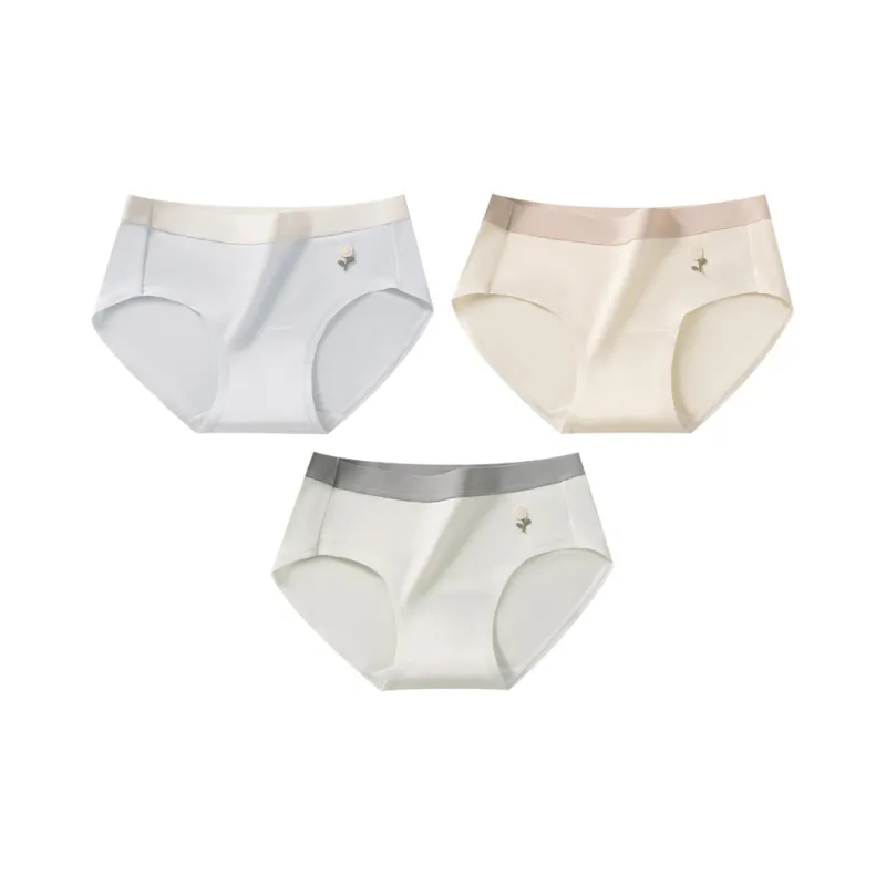 2323 Underpants Women's Combo Set-13