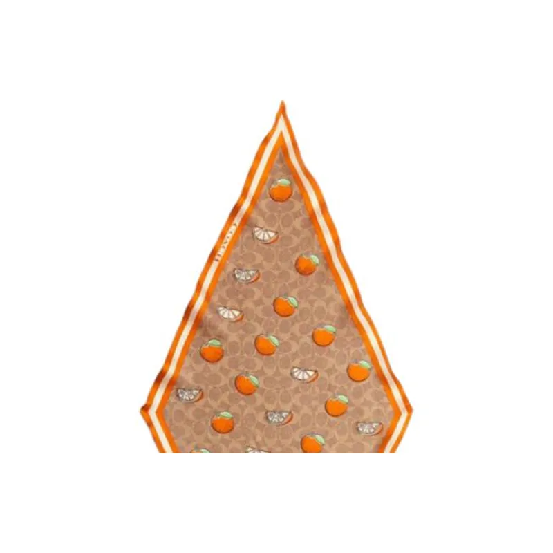 COACH Silk Scarves Unisex Orange-1