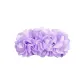 Soft Purple