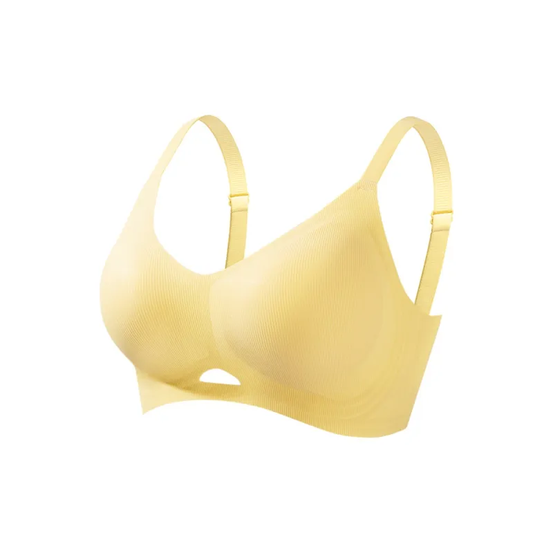 David Women's Bras-13