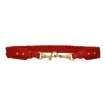 Bottega Veneta Bottega Veneta Luggage Collection Leather Bag Strap Women's Red
