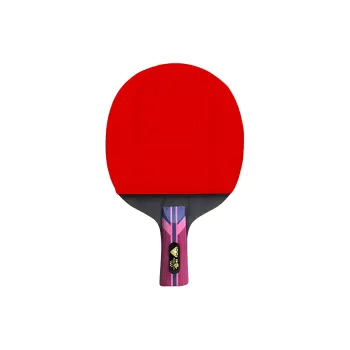 DOUBLE FISH Ping Pong Paddles