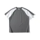 Stone Gray