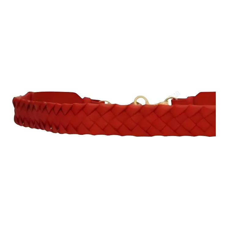 Bottega Veneta Bottega Veneta Luggage Collection Leather Bag Strap Women's Red-2