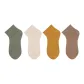Green Snail+White Oyster+Yellow+Camel