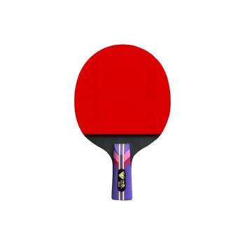 DOUBLE FISH Ping Pong Paddles