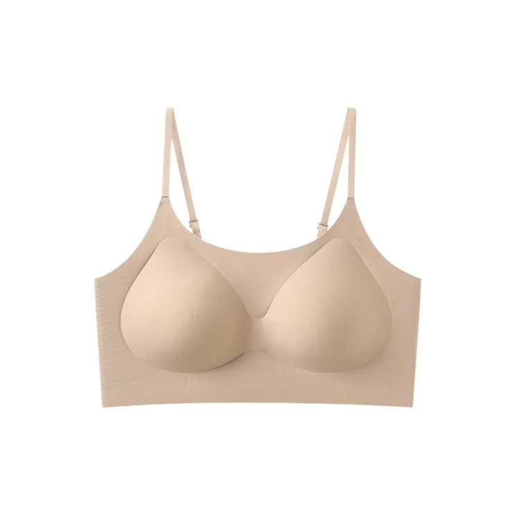 David Women's Bras-2