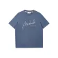 E42 Turbulence Blue Gray