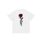 White-Silver Claw Rose