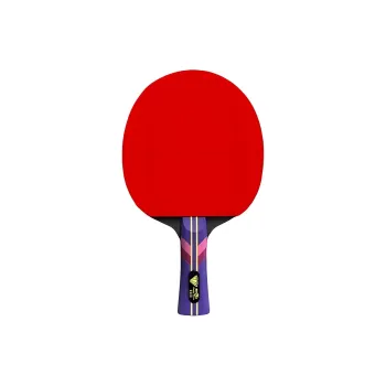 DOUBLE FISH Ping Pong Paddles