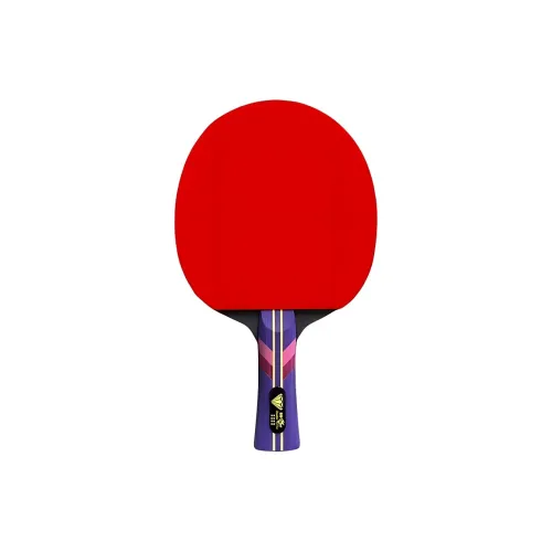DOUBLE FISH Ping Pong Paddles
