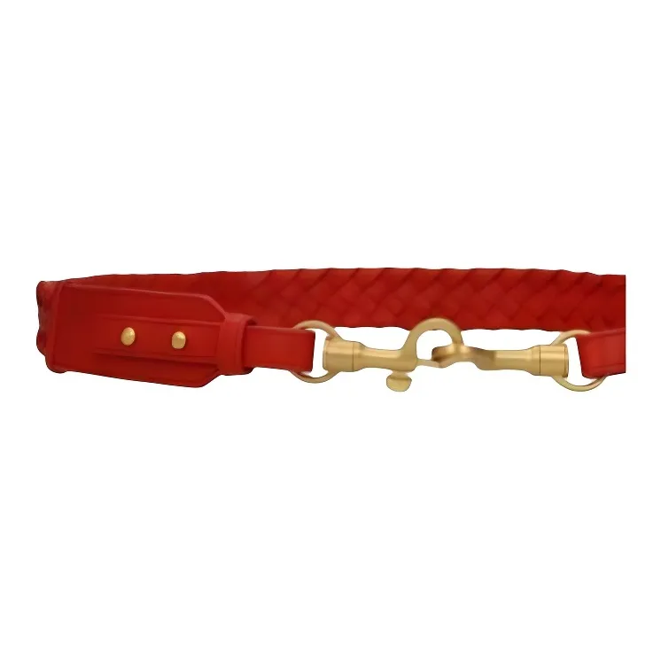 Bottega Veneta Bottega Veneta Luggage Collection Leather Bag Strap Women's Red-3