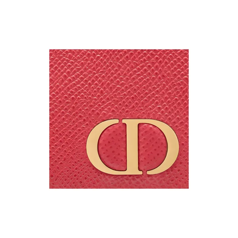 DIOR Card Holders-2