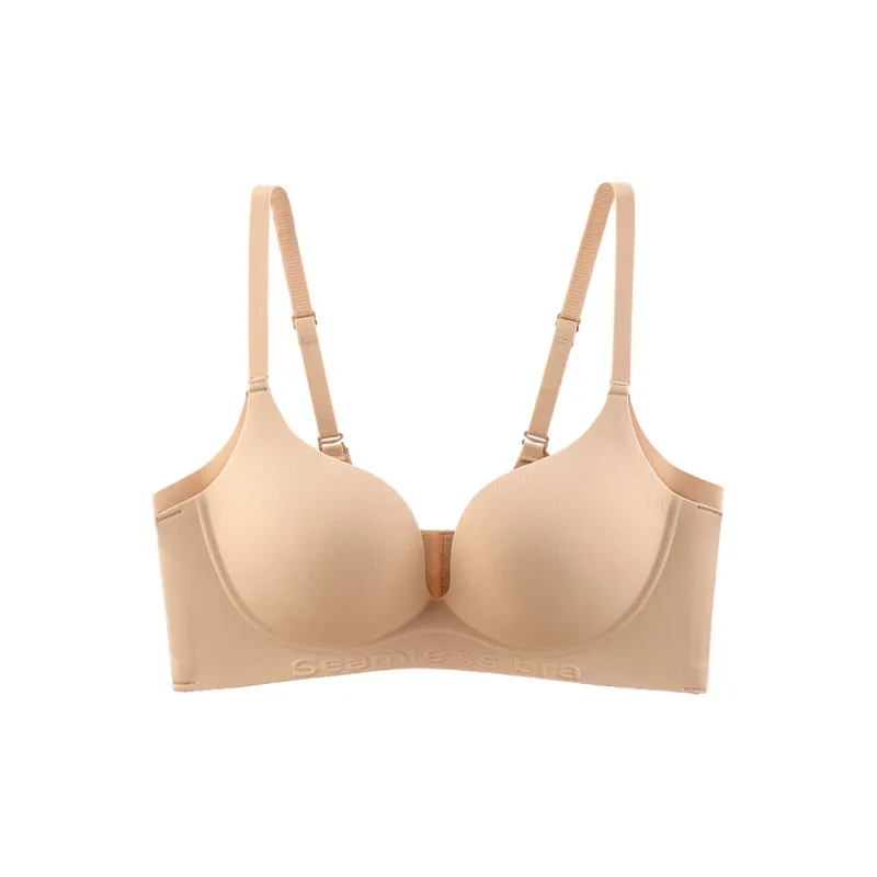 David Women's Bras-4
