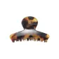 W Tortoiseshell