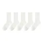 5 Pack (White)