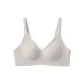 Plume Gray