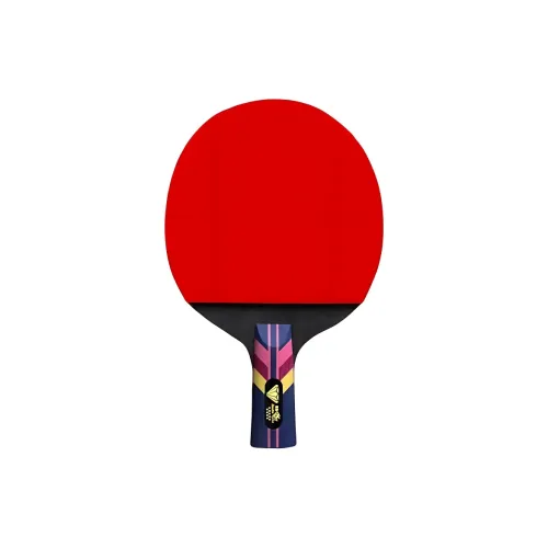 DOUBLE FISH Ping Pong Paddles