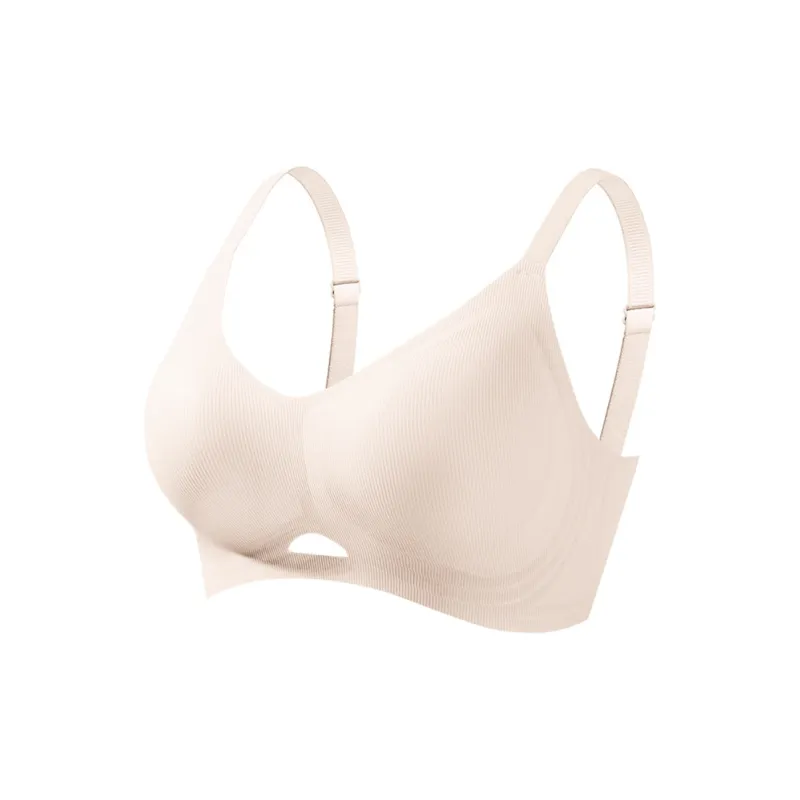 David Women's Bras-12