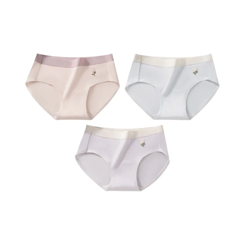 2323 Underpants Women's Combo Set-8