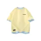 Light Yellow & Light Blue