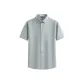 Pea Green 206