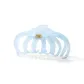 Blue-Hair Claw Clip