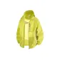 Evening Primrose Yellow