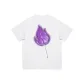 White (Purple) Color[Grape]