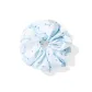 Blue-Hair Tie