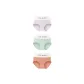 3 Pack (Purple+Green+Brick Red)